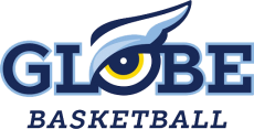 GLOBE_Basketball.png